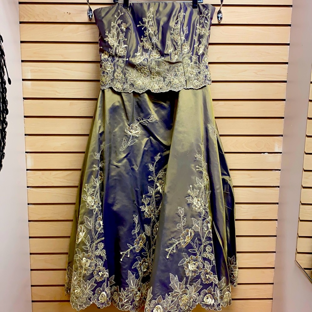 Women’s evening dress plus size